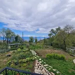 Amanita Boutique 4*