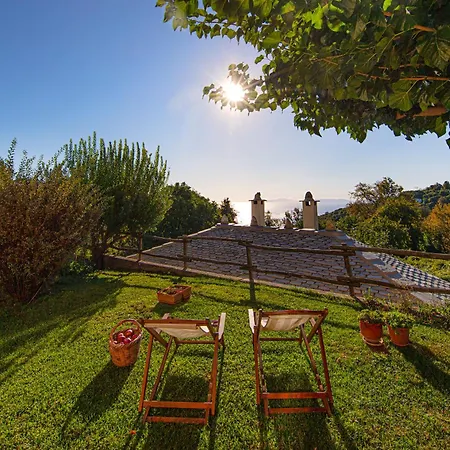 Πανσιόν Amanita Boutique 4*