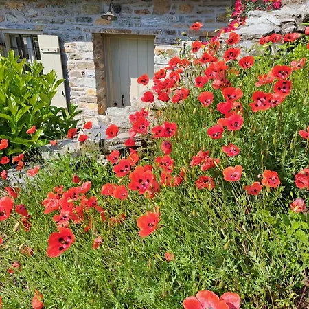 Πανσιόν Amanita Boutique 4*