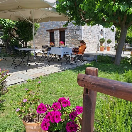 Amanita Boutique Πανσιόν