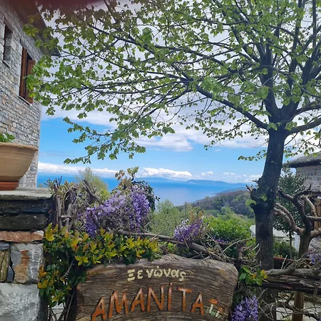 Amanita Boutique 4* Τσαγκαράδα