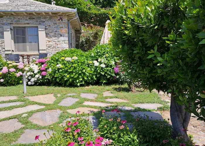 Amanita Boutique בית הארחה