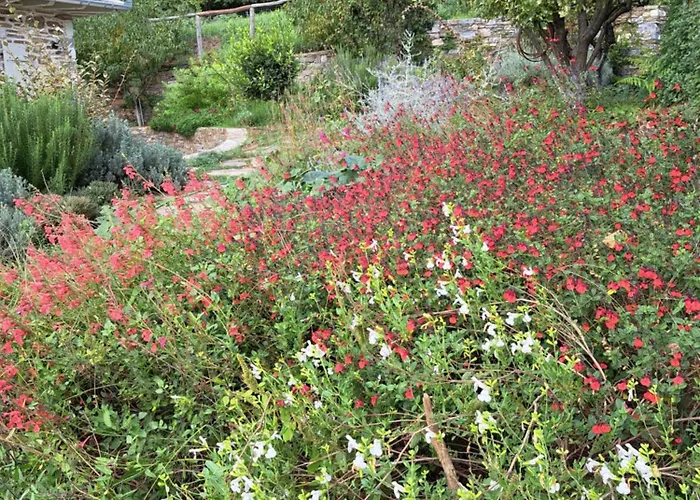 Amanita Boutique Pensión 4*