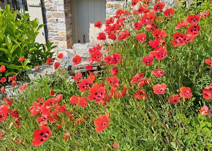 בית הארחה Amanita Boutique 4*