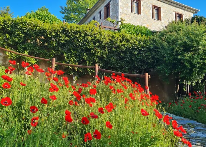 Amanita Boutique בית הארחה טסגרדה