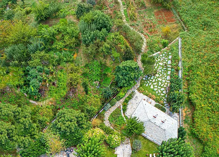 בית הארחה Amanita Boutique 4*