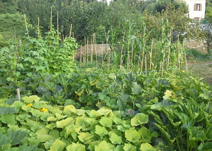 Amanita Boutique בית הארחה