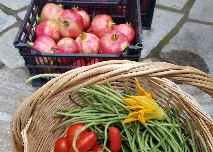 Amanita Boutique 4* טסגרדה