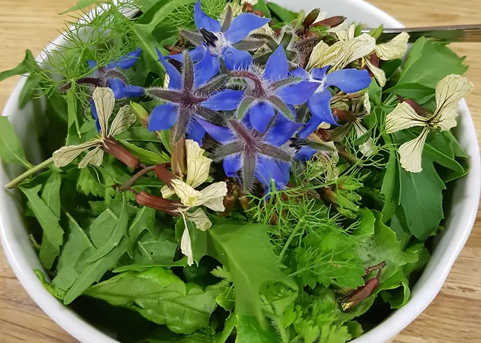 Amanita Boutique בית הארחה