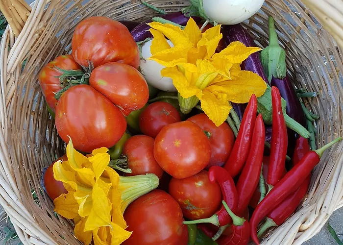 בית הארחה Amanita Boutique