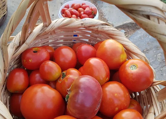 בית הארחה Amanita Boutique