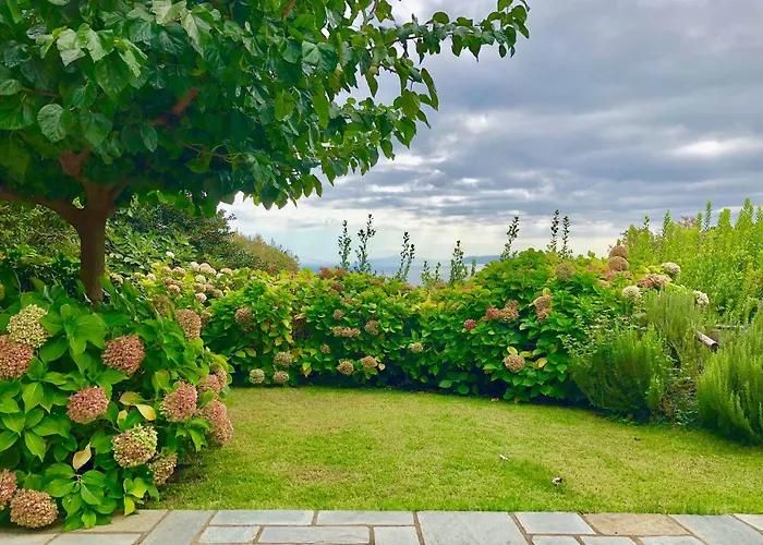 בית הארחה Amanita Boutique 4*