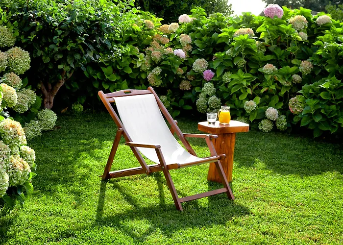 Amanita Boutique בית הארחה טסגרדה