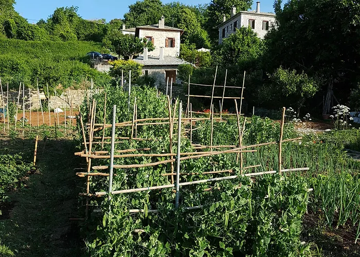 בית הארחה Amanita Boutique