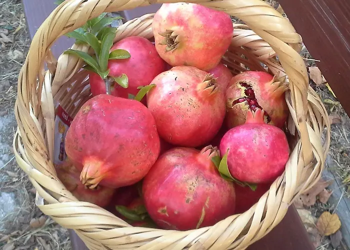 Amanita Boutique בית הארחה 4*