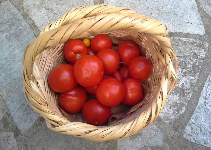 Amanita Boutique בית הארחה טסגרדה